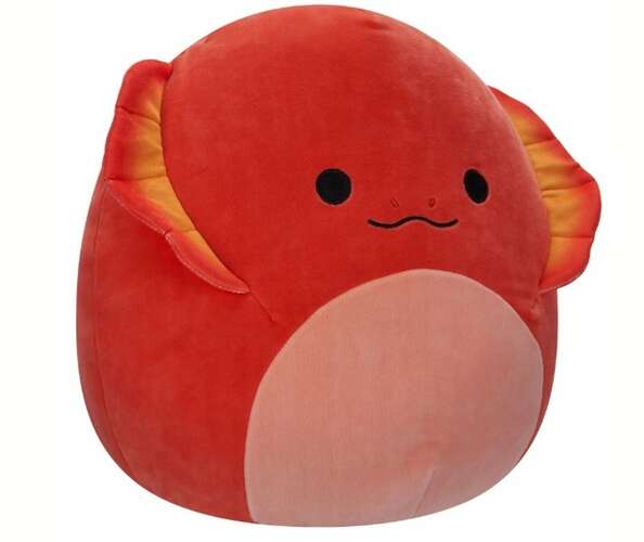 Zdjęcie