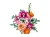 LEGO(R) BOTANICALS 10342