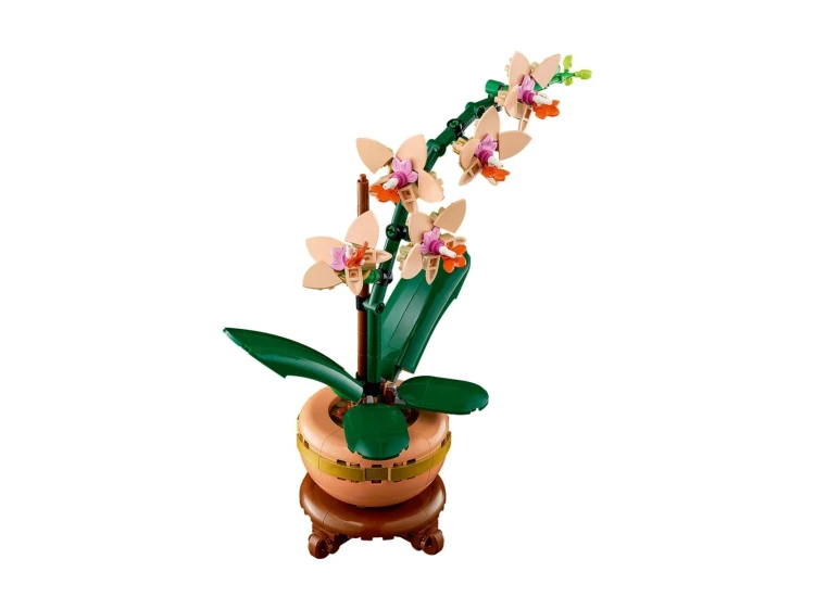 LEGO(R) BOTANICALS 10343