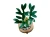 LEGO(R) BOTANICALS 10344