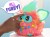 FURBY Kolor Koralowy - Hasbro
