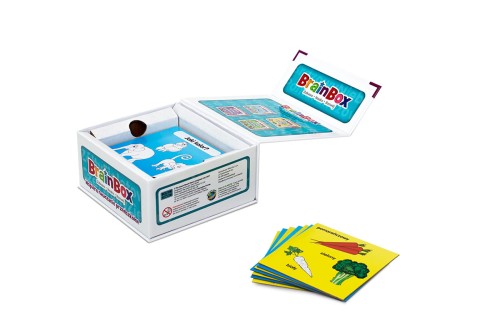 BrainBox Poznaję kolory - Rebel