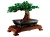 LEGO Icons 10281 Drzewko Bonsai