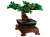 LEGO Icons 10281 Drzewko Bonsai