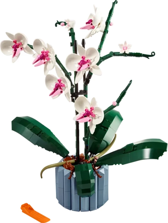 LEGO Icons 10311 Orchidea