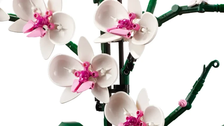LEGO Icons 10311 Orchidea
