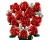 LEGO Icons 10328 Bukiet Róż