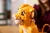 LEGO DISNEY CLASSIC 43247 Król Lew młody Simba