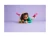LEGO DISNEY 43261 Nasze magiczne Encanto Minidom