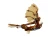 LEGO ICONS 10363 Maszyna latająca Leonarda da Vinci