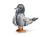 LEGO CREATOR 31163 Psotny kot