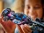 lego-speed-champions-77248-bolid-f1-bwt-alpine-team-a524-Kraków Mr Puggy.webp