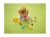 LEGO DUPLO 10412 Pociąg ze zwierzątkami