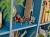 LEGO HARRY POTTER 76434 Aragog w zakazanym lesie