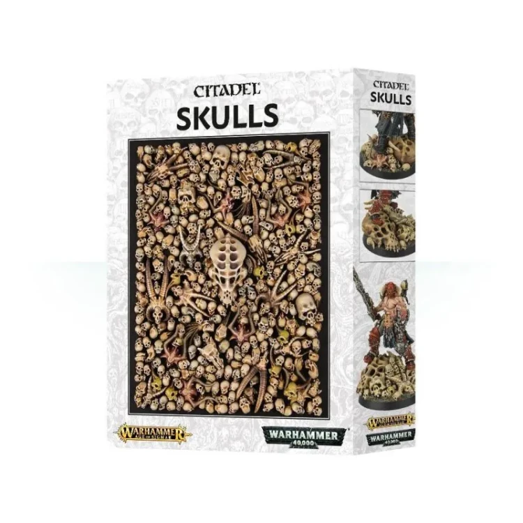citadel-skulls-Mr-Puggy-Kraków.webp