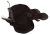 rebel-gra-strategiczna-na-dnie-morza-art2.png