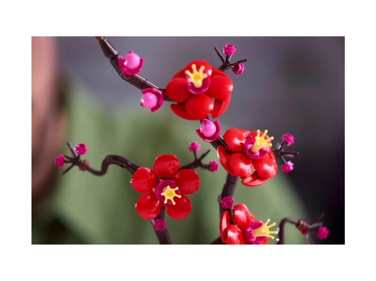 LEGO ICONS 10369 Kwiat śliwy