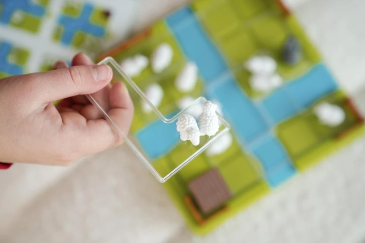Smart Games Counting Sheep (ENG) IUVI Games
