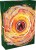 pokemon-tcg-battle-deck-victini-ex (5).jpg