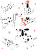 rebel-gra-rodzinna-ciapki-asset6.png