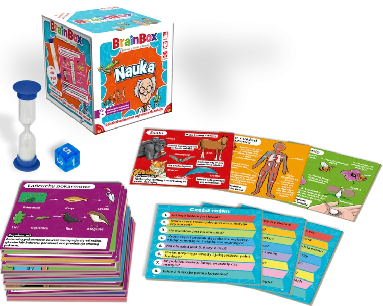 rebel-gra-karciana-brainbox-nauka-asset1.png