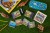 rebel-gra-rodzinna-brainbox-dinozaury-asset5.jpg