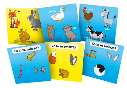 poznaje_zwierzeta_Asset_karty.png