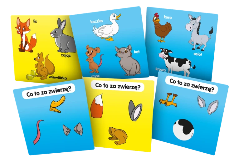 poznaje_zwierzeta_Asset_karty.png
