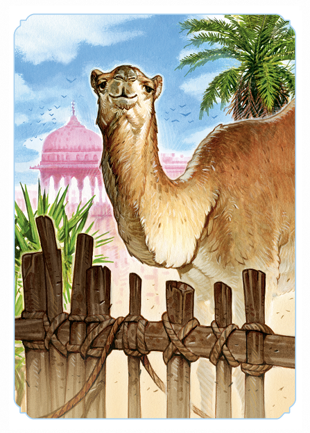 rebel-gra-ekonomiczna-jaipur-wielblad.png