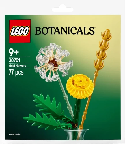 lego-botanicals-30701-kwiaty-polne-polybag-kwiaty-kwiatki-b-iext180987552.jpg.webp