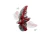 75362_alt3.png.webp