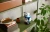 75349_alt7.jpg.webp