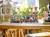 76431_Lifestyle_envr.png-2.webp