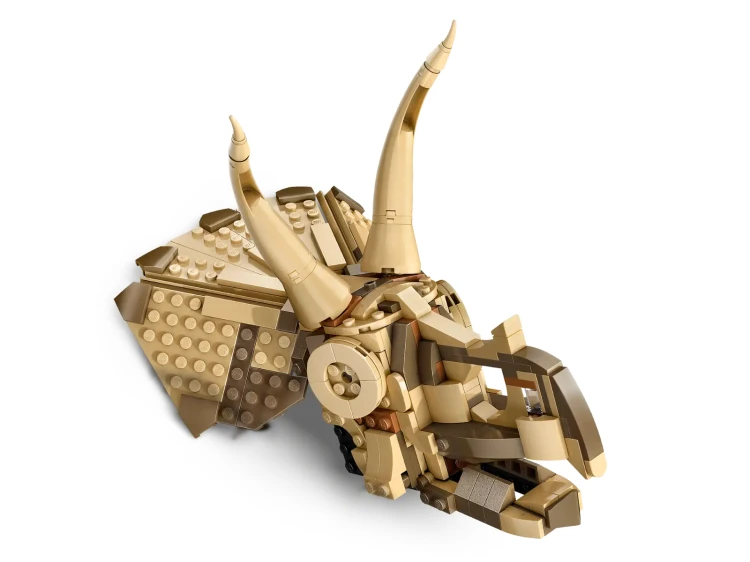 76969_WEB_SEC01_NOBG.png.webp