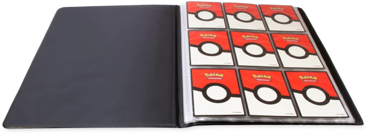 16084_422403_Port_9PKT_PKM_SV10_Open.png