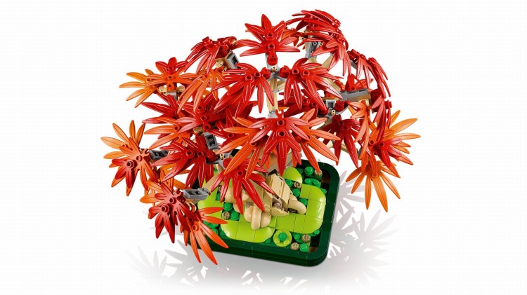 LEGO BOTANICALS 10348 Klon palmowy bonsai MrPuggy Krakow.jpg