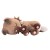 Pokemon - śpiący Rockruff 45cm Mr Puggy.jpg