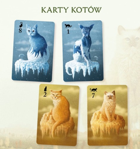 Koty-karty-kotów.jpg