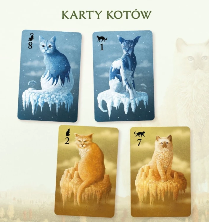Koty-karty-kotów.jpg
