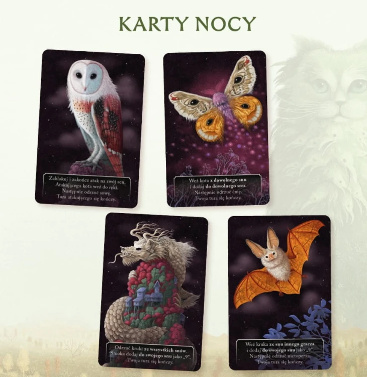 Koty-karty-nocy.jpg