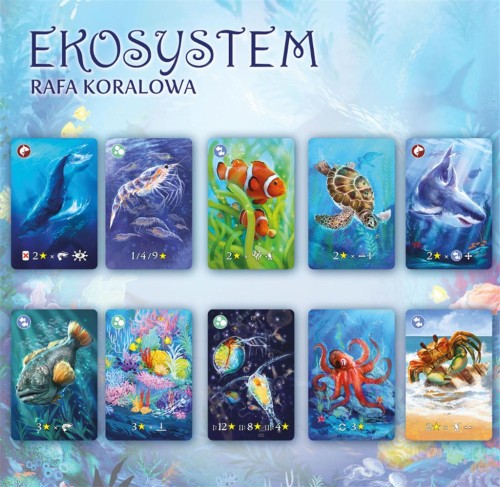 ekosystem-2-rafa-koralowa (2).jpg