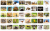 memory_fauna_polski_elementy.png
