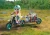 Playmobil 71524 W poszukiwaniu T-Rexa mrPuggy Kraków.webp