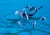 71636_product_extra2.webp