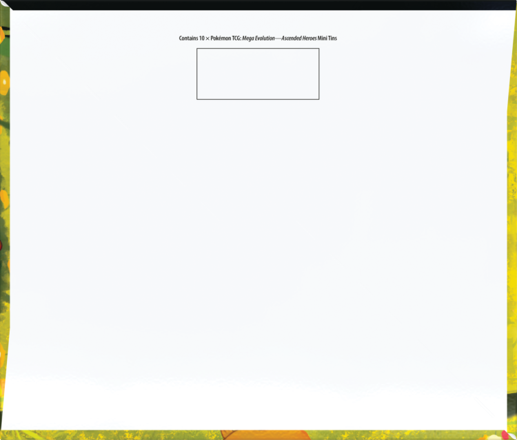Pokemon-2,5-Mini-Tins-Display-Bottom.png