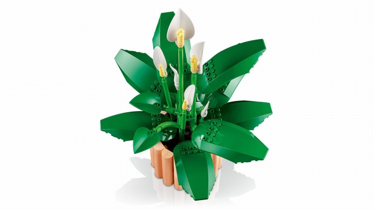 LEGO BOTANICALS 11504 Skrzydłokwiat kraków Mr Puggy.jpg