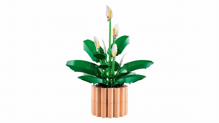 LEGO BOTANICALS 11504 Skrzydłokwiat kraków MrPuggy.jpg