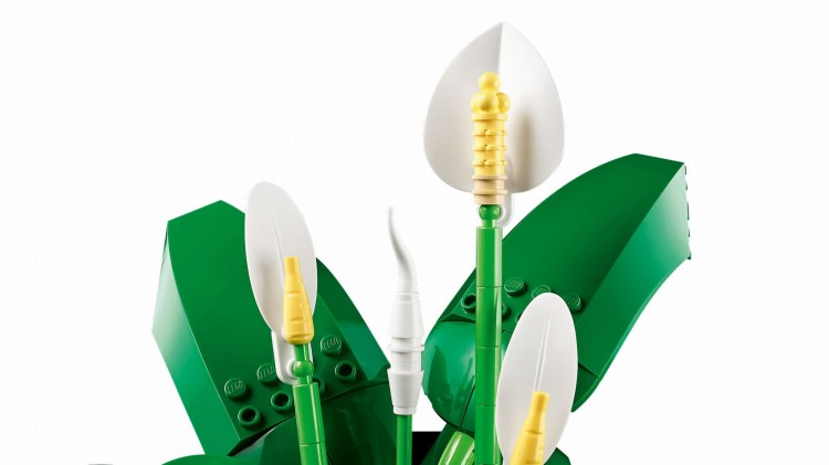 LEGO BOTANICALS 11504 Skrzydłokwiat kraków.jpg