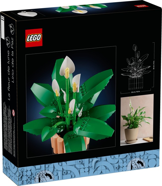 LEGO BOTANICALS 11504 Skrzydłokwiat Mr Puggy.jpg