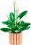 LEGO BOTANICALS 11504 Skrzydłokwiat MrPuggy.jpg